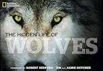 The Hidden Life of Wolves