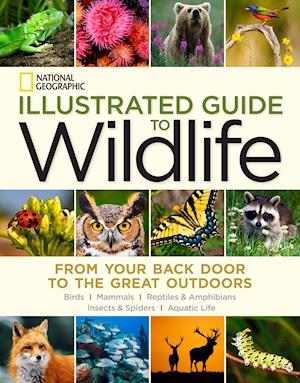 National Geographic Illustrated Guide to Wildlife: From Your Back Door to the Great Outdoors