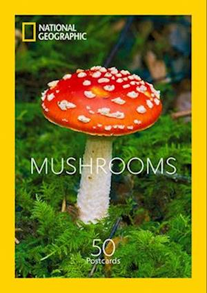 Mushrooms Postcards