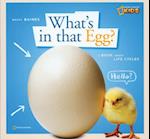 ZigZag: What's in That Egg?