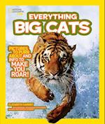 Everything Big Cats