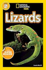 Lizards