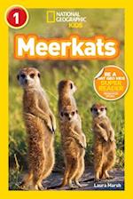 National Geographic Kids Readers: Meerkats