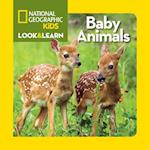 Baby Animals