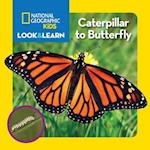 National Geographic Kids Look and Learn