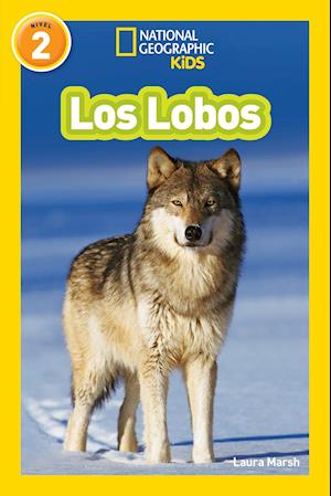 Få National Geographic Readers: Los Lobos (Wolves) af Laura Marsh som  Paperback bog på spansk