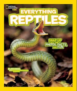 Everything Reptiles