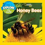 Explore My World: Honey Bees