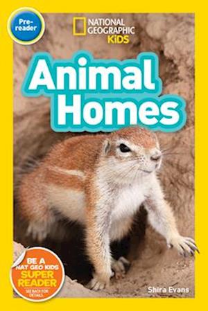 National Geographic Kids Readers: Animal Homes