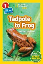 National Geographic Kids Readers: Tadpole to Frog (L1/Co-reader)