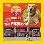 Dolley the Fire Dog