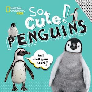 So Cute: Penguins