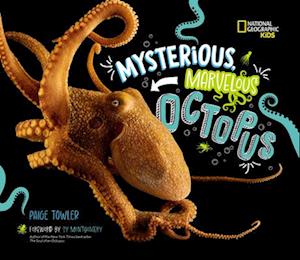 Mysterious, Marvelous Octopus