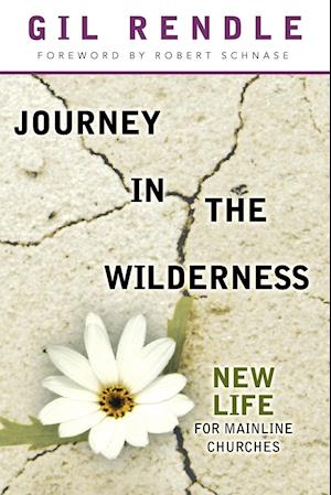 Journey in the Wilderness