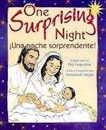 One Surprising Night