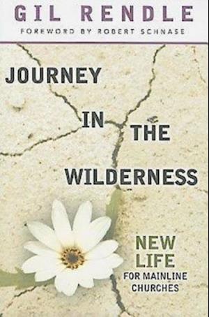 Journey in the Wilderness