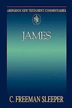 Abingdon New Testament Commentaries: James