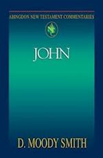 Abingdon New Testament Commentaries: John