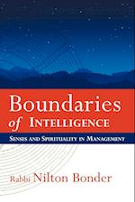 Boundaries of Intelligence