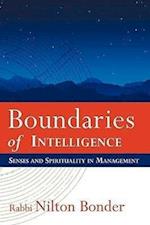 Boundaries of Intelligence