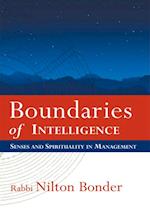 Boundaries of Intelligence