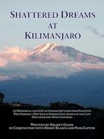 Shattered Dreams at Kilimanjaro