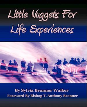 Little Nuggets for Life's Experiences