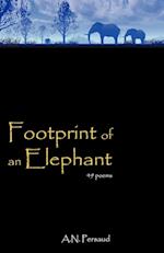 Footprint of an Elephant