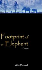 Footprint of an Elephant