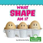 What Shape Am I?