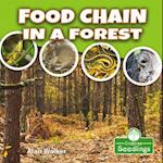 Food Chain in a Forest