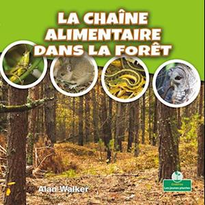 La Chaîne Alimentaire Dans La Forêt