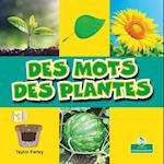 Des Mots Des Plantes