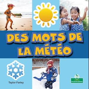 Des Mots de la Météo