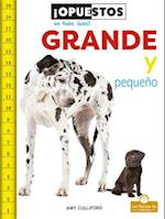 Grande Y Pequeño