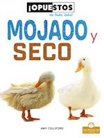 Mojado Y Seco