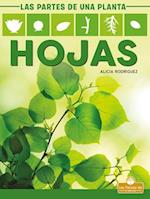 Hojas