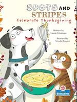 Spots and Stripes Celebrate Thanksgiving