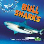 Bull Sharks