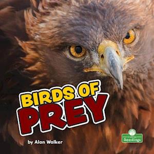 Birds of Prey