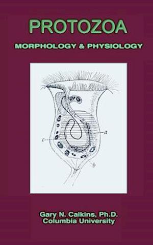 Protozoa Morphology & Physiology (Microbiology Series)