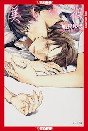 My Beautiful Man, Volume 1 (Light Novel)