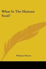 What Is The Human Soul?
