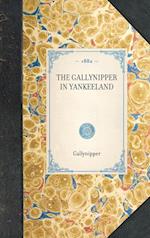 THE GALLYNIPPER IN YANKEELAND~ 