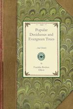 Popular Deciduous and Evergreen Trees