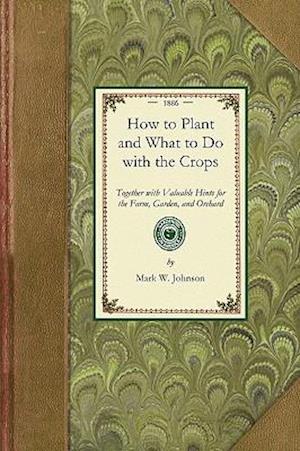 How to Plant and What to Do