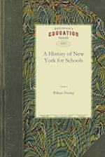 A History of New York for Schools 