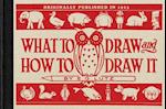 What to Draw and How to Draw It