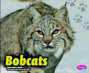 Bobcats