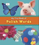 My First Book of Polish Words